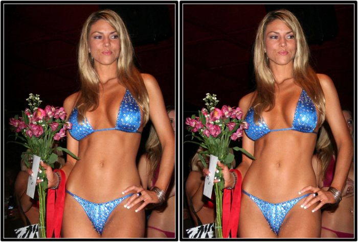 Miss Bikini USA 2008 in 3D (25 pics)