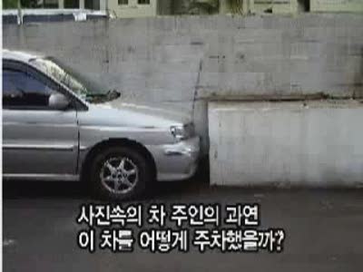 Great Parking Skills