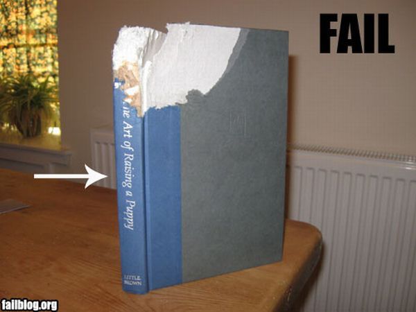 Epic Fails. Part 3 (77 pics)