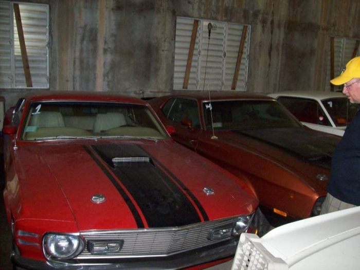 Collection of vintage Mustangs For $ 700,000 (23 pics)