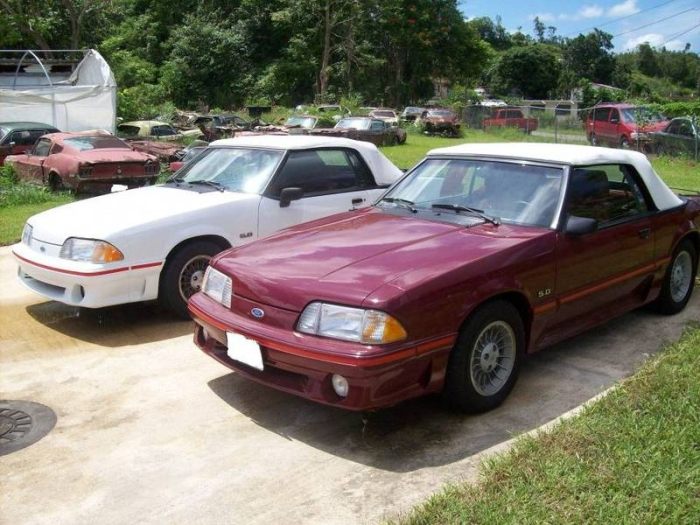 Collection of vintage Mustangs For $ 700,000 (23 pics)