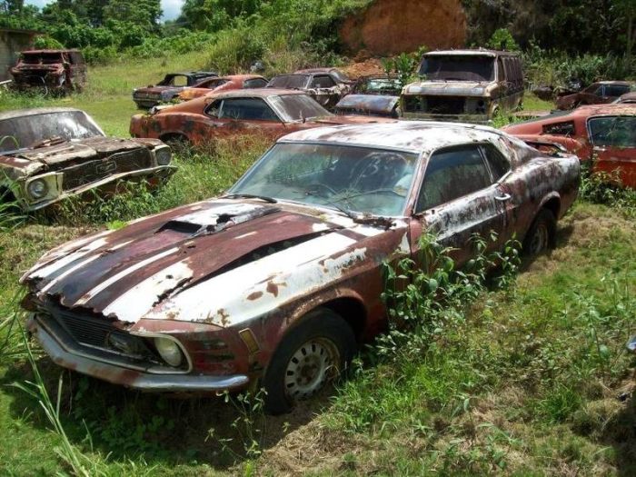 Collection of vintage Mustangs For $ 700,000 (23 pics)