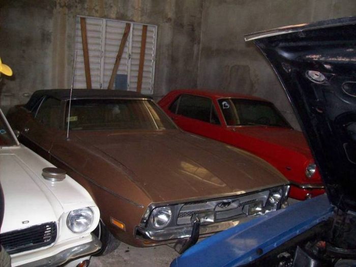 Collection of vintage Mustangs For $ 700,000 (23 pics)