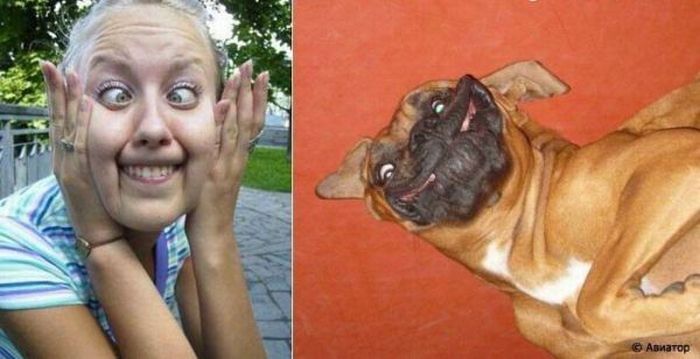 Funny. Humans And Animals (9 pics)
