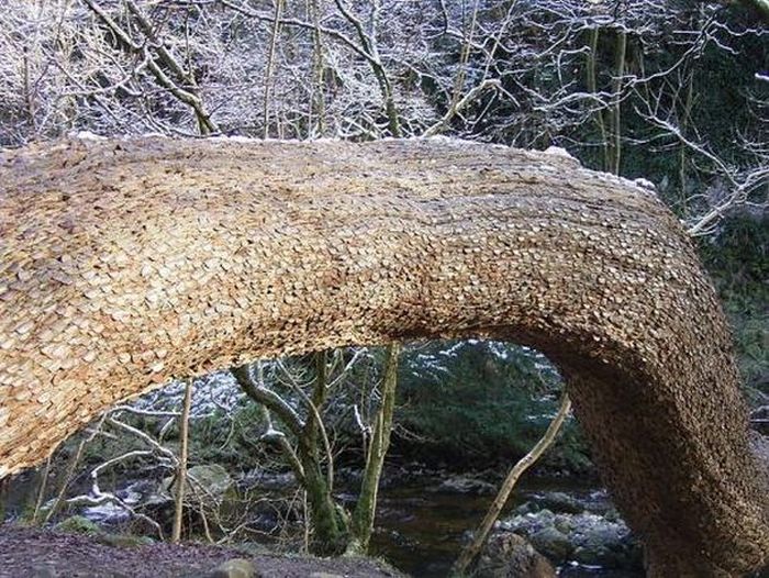 Wish tree at High Force, England (12 pics)