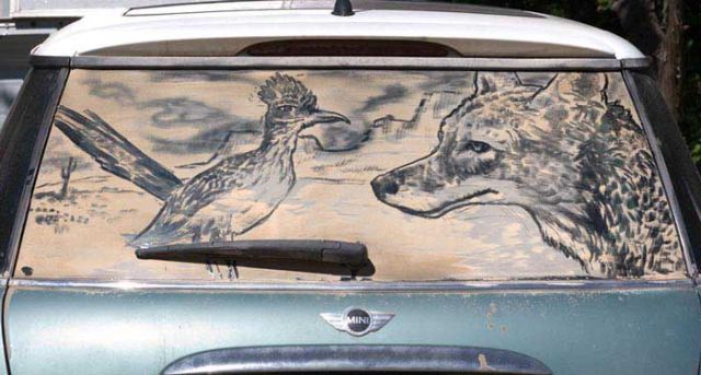 Impressive Drawings In The Dust On Cars (69 pics)