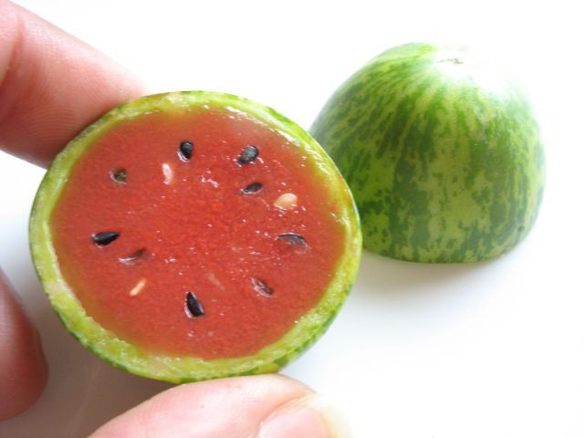 Tiny Watermelon (3 pics)