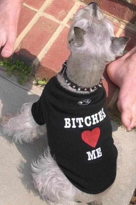 Acid Picdump (142 pics) Acid Picdump (142 pics)