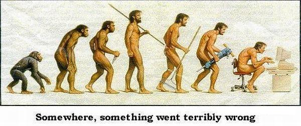 Different Types Of Evolution (54 pics)