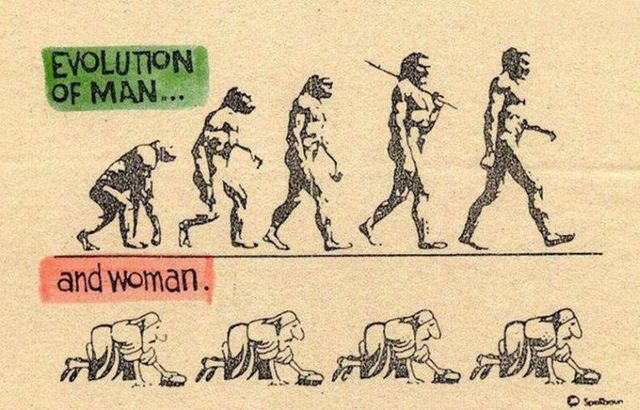 Different Types Of Evolution (54 pics)