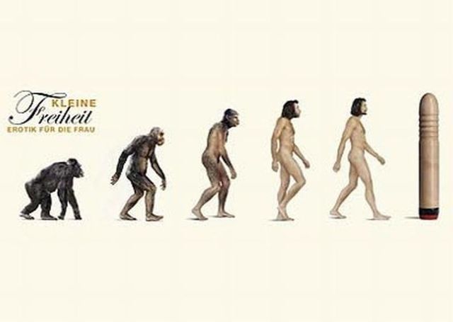 Different Types Of Evolution (54 pics)