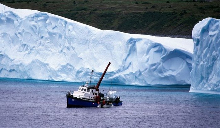 Beautiful Icebergs (110 pics)