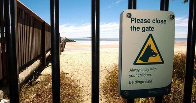 Australian Dingo Fence (12 pics)