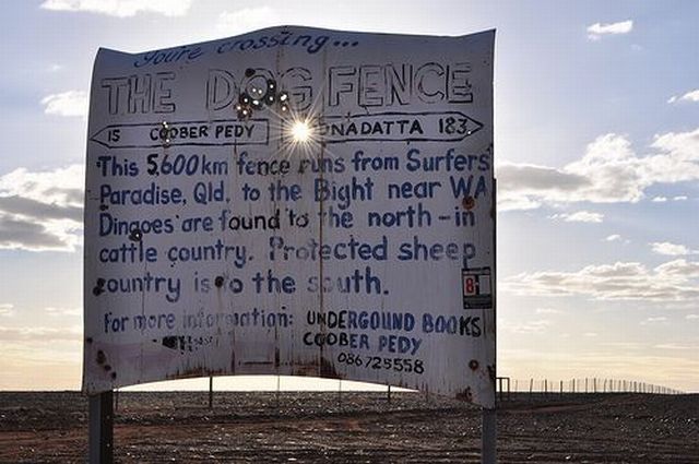 Australian Dingo Fence (12 pics)