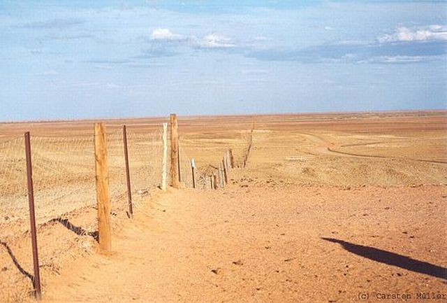 Australian Dingo Fence (12 pics)