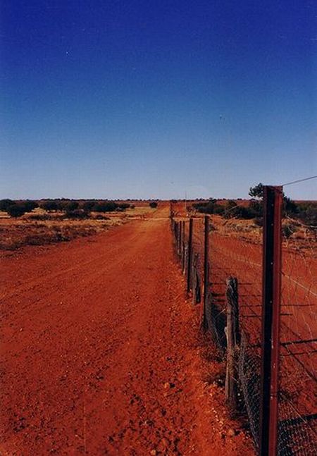Australian Dingo Fence (12 pics)