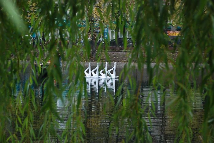 Installations by Mark Jenkins in Moscow (29 pics)