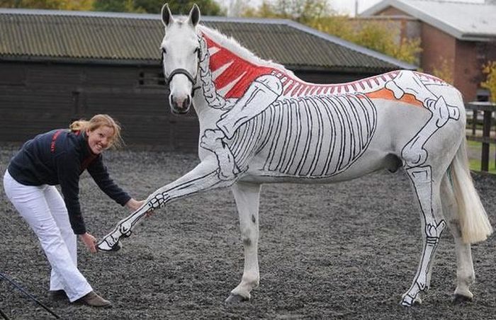 Acid Picdump (144 pics)