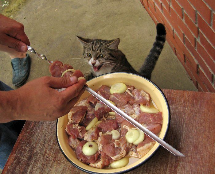 Acid Picdump (144 pics)