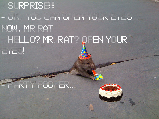 Sad Rat (24 pics)