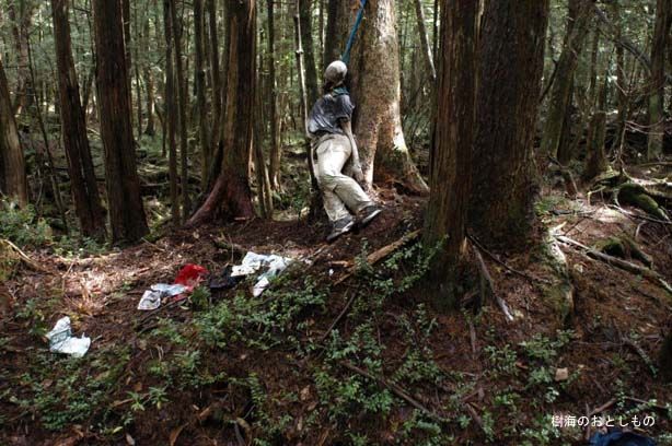 Aokigahara Forest - One Of The Creepiest Places On Earth (19 pics)
