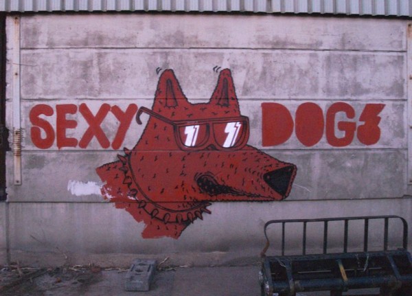 Great Graffiti Art (281 pics)