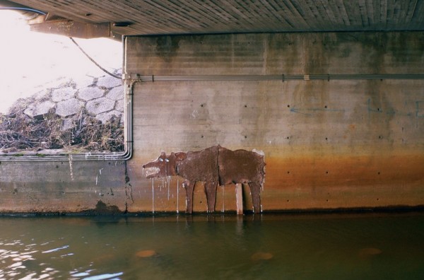 Great Graffiti Art (281 pics)