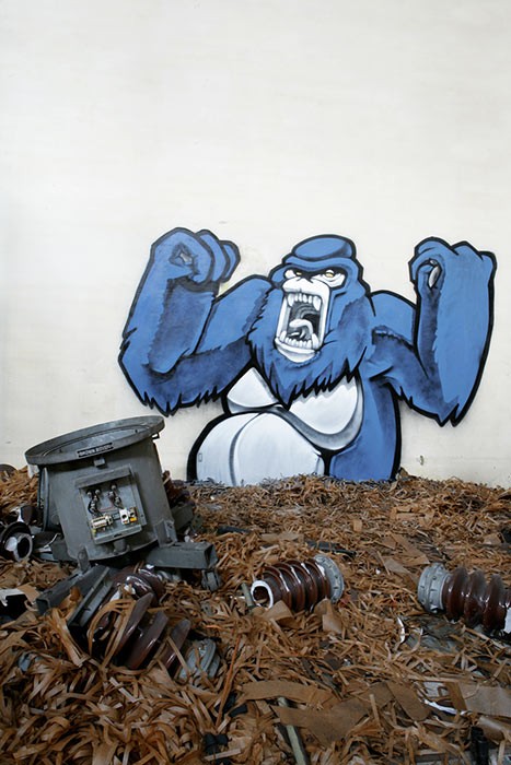 Great Graffiti Art (281 pics)