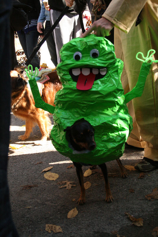 Halloween Dog Parade 2009 (43 pics)