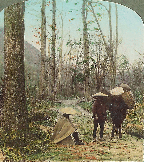 Animated stereoviews of old Japan. Amazing! (20 pics) 