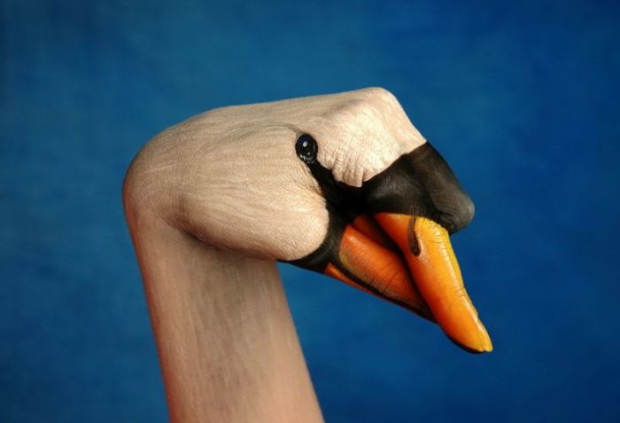 The Best of Hand Paintings (44 pics)