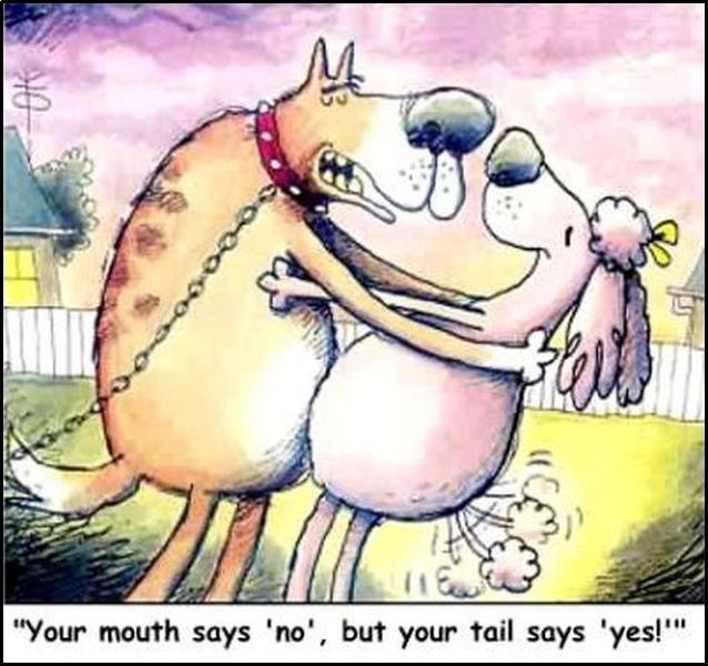 Acid Picdump (121 pics) Acid Picdump (121 pics)
