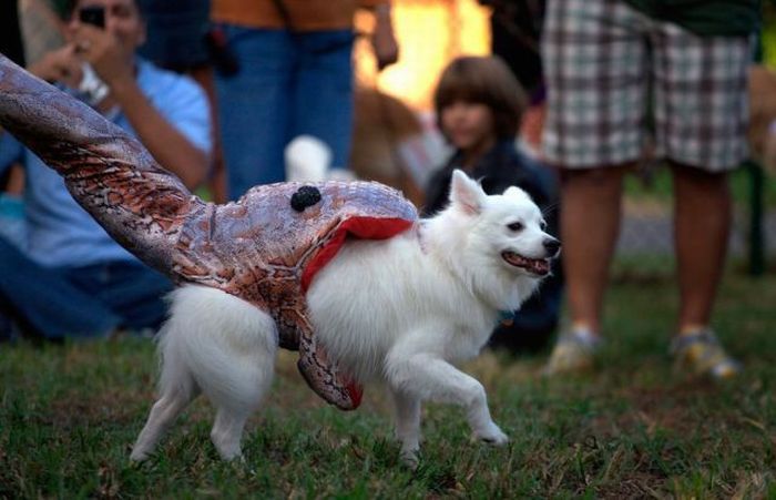 Acid Picdump (121 pics) Acid Picdump (121 pics)
