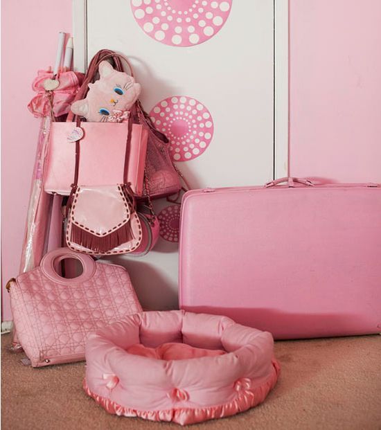 The Woman Who Loves Pink (14 pics)