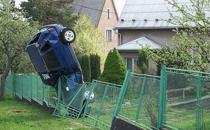 Acid Picdump (117 pics) Acid Picdump (117 pics)