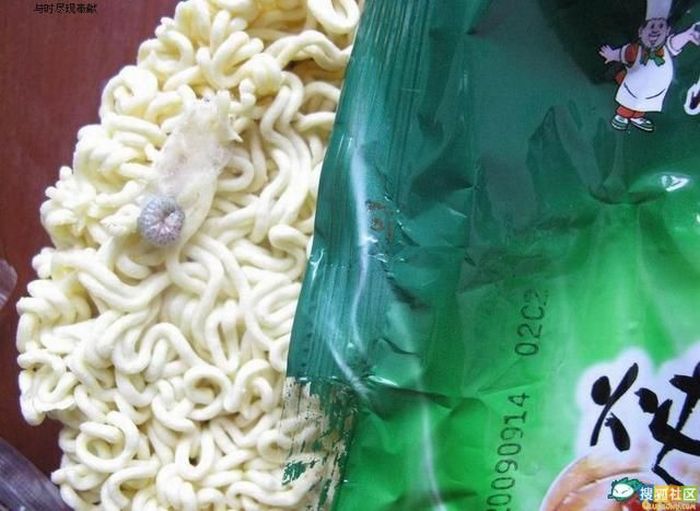 Chinese Instant Noodle With Extra Protein (6 pics)