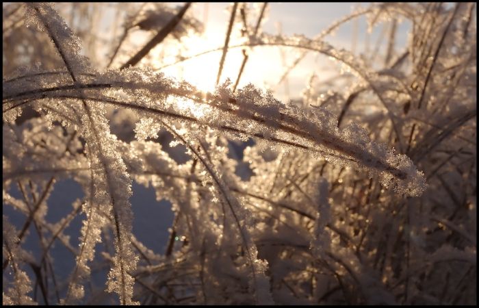 Romantic Winter (16 pics)