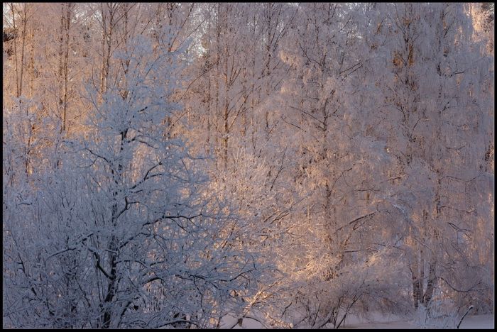 Romantic Winter (16 pics)