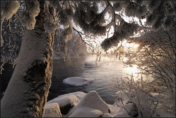 romantic winter scenery