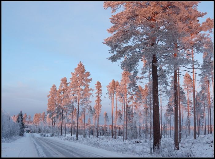 Romantic Winter (16 pics)