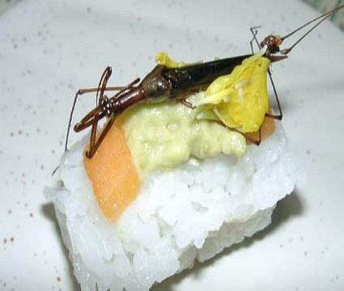 Insect Sushi (16 pics)