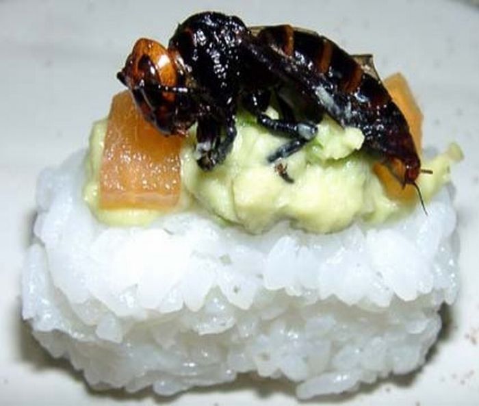Insect Sushi (16 pics)