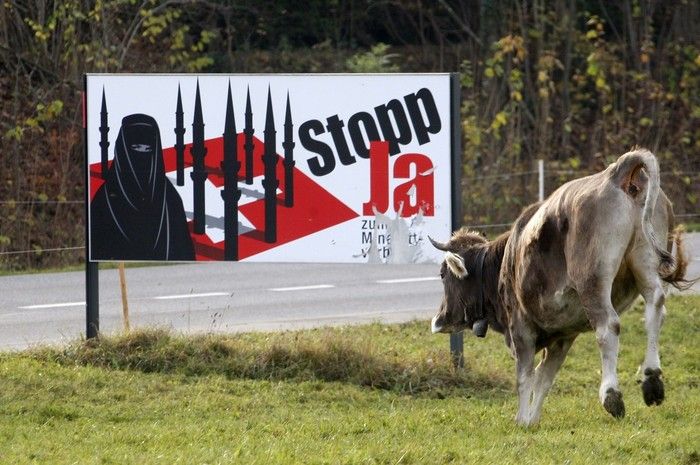 Voting Cow from Switzerland (3 pics)