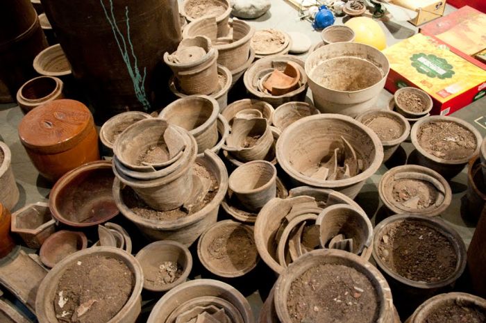 Waste Not (34 pics)