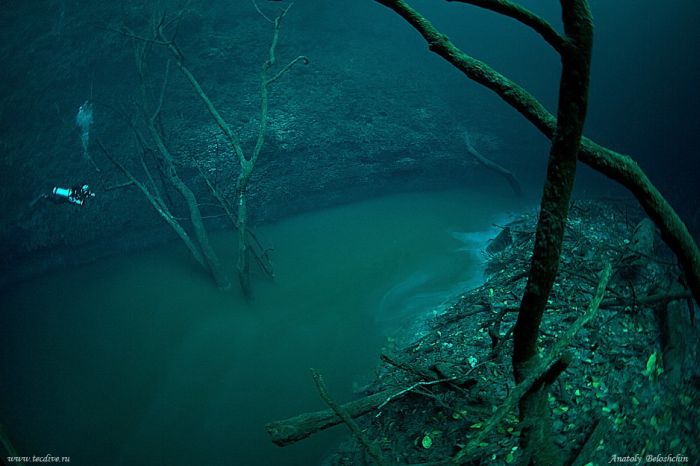 Underwater River in Mexico (4 pics + video)