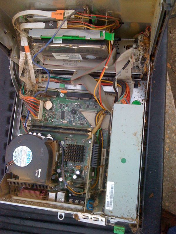 Very Dirty PCs (17 pics)