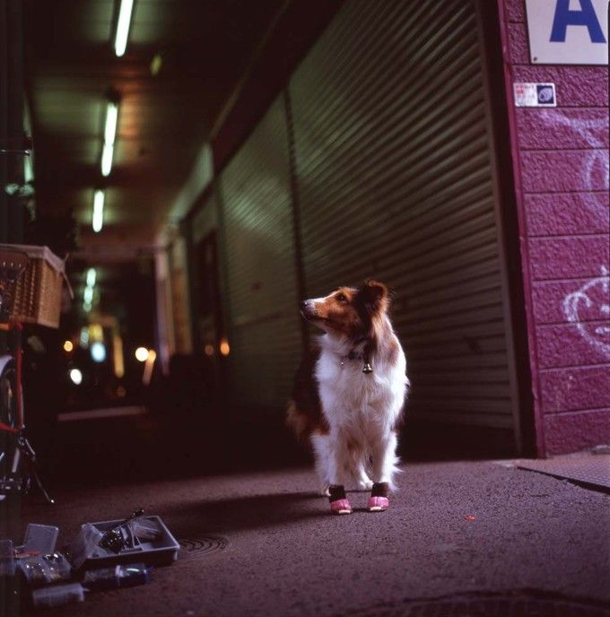 Acid Picdump (128 pics)