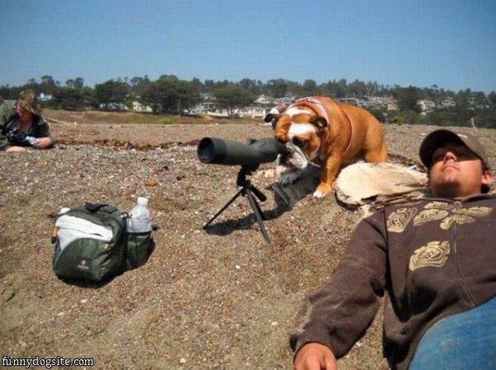 Acid Picdump (128 pics)