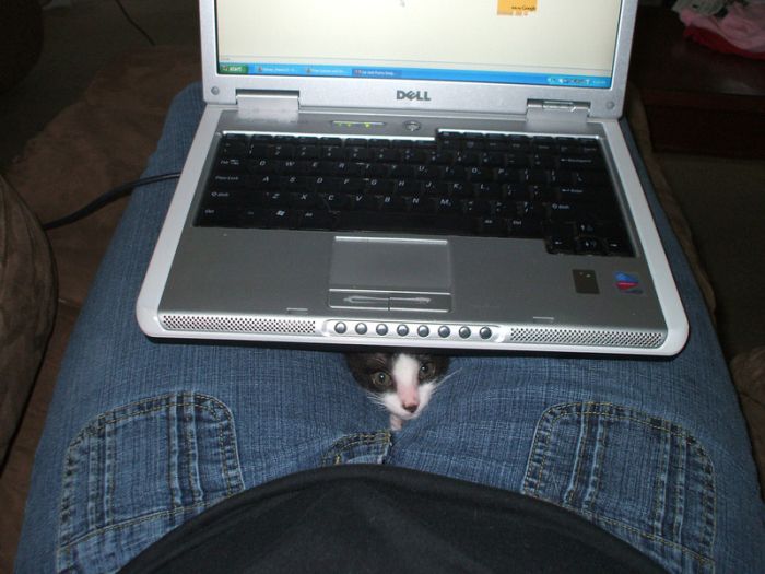 Acid Picdump (128 pics)