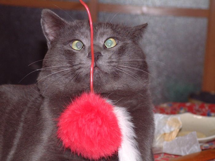 Acid Picdump (128 pics)